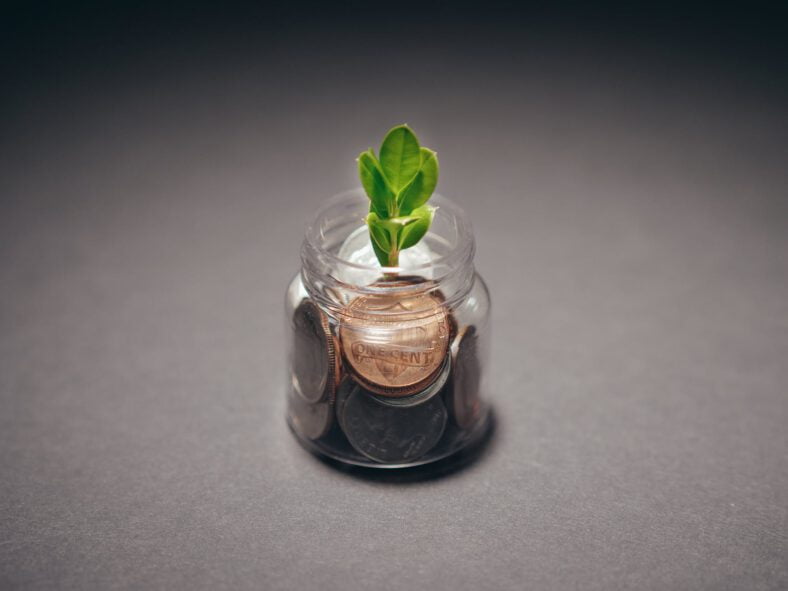 plant on a glass bottle with coins